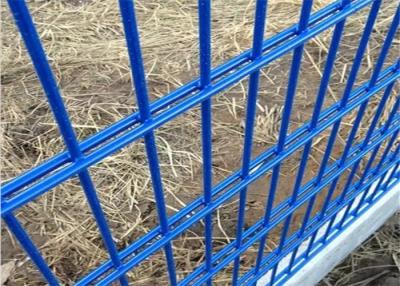 China Heavy Gauge Pvc Coated Welded Double Wire Fence 656 868 Horizontal for sale