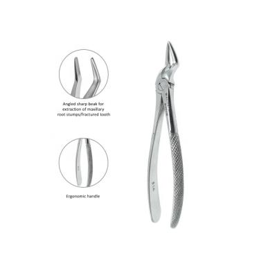 China Tooth Root Area Forceps Dental Adult Residual Extraction Forceps Golden Series - Mandibular Anterior Teeth for sale