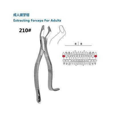 China High End Dental Sector Tooth Extraction Forceps Dental Adult Pliers For Maxillary Wisdom Teeth Upper Forceps for sale