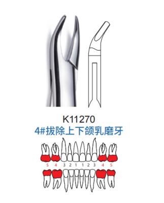 China Sector Dental Kids Dental Extraction Forceps Teeth Extracting Forceps For Upper Lower Deciduous Molar for sale