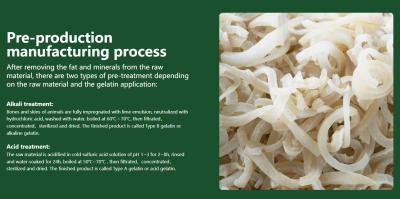 China Industrial Gelatin Powder 6.0-12.0MPa.S Viscosity Less 1000Cfu/G for sale