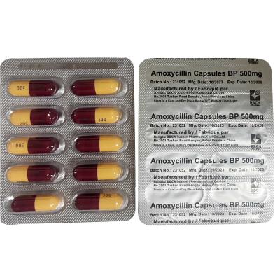 Κίνα 500 mg Αμοξικιλλίνη κάψουλες λευκή ή σχεδόν λευκή σκόνη 10x10 κάψουλες/ κουτί προς πώληση