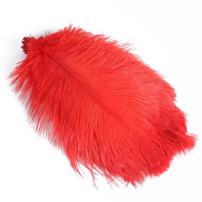 China TIMING Bulk Feathers Red Ostrich Feather 15-20cm For Wall Backdrop for sale