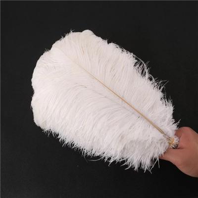 China Decorations Bulk Wholesale New Years Birthday Baby Shower Party Background Wall Wedding Supplies Decoration Ostrich Feathers For Sale for sale