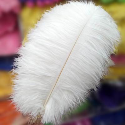 China Festival decoration 15-20cm white feathers ostirch bulk feather for wedding birthday shop decoration new photo props for sale