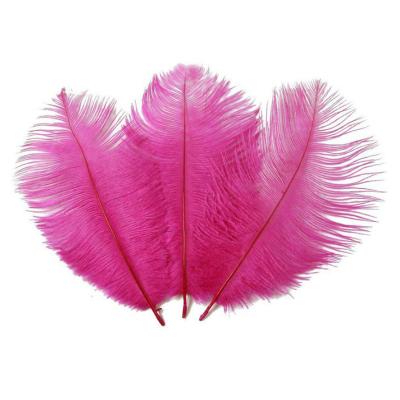 China 15-20cm Ostrich Feather Wall Wedding Birthday Party Decoration Photo Props Wholesale for sale