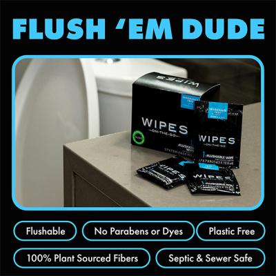 China Travel Friendly Unscented Individually Wrapped Flushable Wipes with Vitamin-E & Aloe for sale