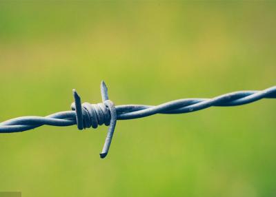 China Use Of Prison Walls 50kg Double Strand Reverse Twist Electro Barbed Wire Roll for sale