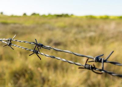 China Use Of Prison Walls 12.5 Gauge Double Twisted Galvanized Barbed Wire for sale