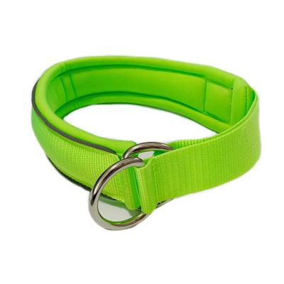 China Padded Ultra Soft Padded Durable Durable Nylon Martingale Dog Collar Reflective for sale