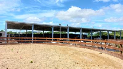 China Open wall designed prefabricated metal warehouse barn shed for sale