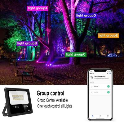 China LANDSCAPE 20W RGBW WiFi Smart LED Flood Light for sale