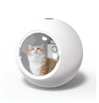 China cats & Pet Room Smart Rise Dogs Dryer High Speed Adjustable Pet Safety Speed Temp Dog Grooming Dryer Dryer Fan for sale