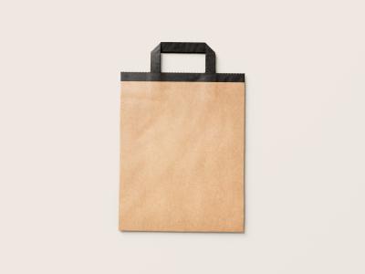 China saco de compras impresso reciclável do papel de embalagem de 200gsm com punho à venda
