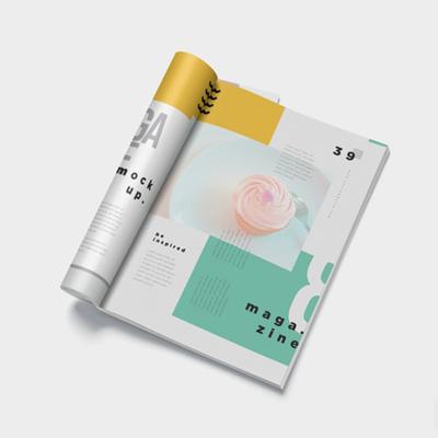 China Brochure Custom Pamphlet And Booklet Printing Service Cheap Instruction Booklet Paper Printing Factory Folding leaflet printing for sale
