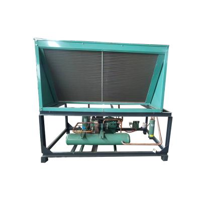 China Bitze machinery repair shops fashion refrigeration unit compressor unit piston compressor v-type semi-hermetic air-cooled condensing for sale