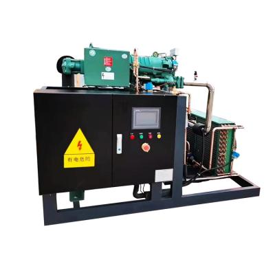 China Bitze ZSTR Refrigeration 60hp Screw Compressor Refrigeration Unit Hot Selling Semi-hermetic Air Cooled Condensing Unit for sale