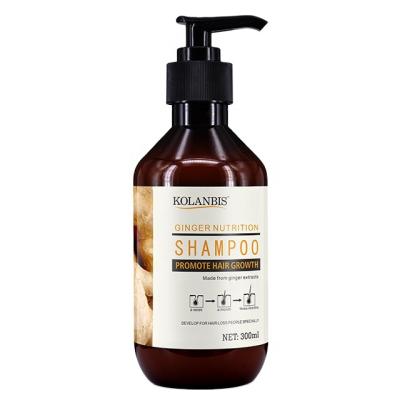 China Color-Protection Anti-Hair Loss Aids Hair Growth Chinese Medicine Flavor 300ml OEM/ODM Ginger Shampoo for sale