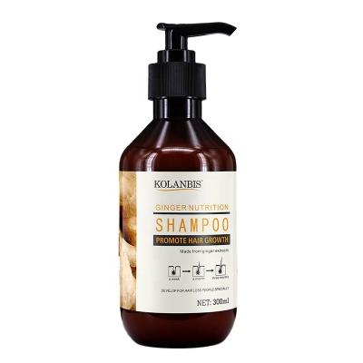 China Wholesale Loss Prevention KOLANBIS Ginger Scalp Care Shampoo Anti Hair Loss Products for sale