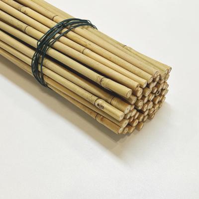 China Eco Friendly Decorative Raw Bamboo Poles Dia.0.8cm x 100cm Length for sale