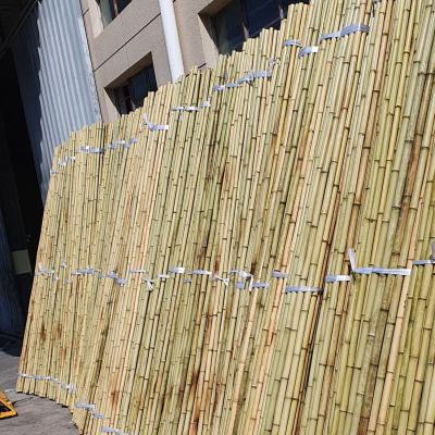 China Eco-Friendly Bamboo Poles Toamto Beans Potted Plants for Indoor and Outdoor Plants for sale