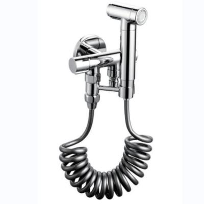 China Highest Quality Best Selling Light Grey 304 Handheld Toilet Spray for sale