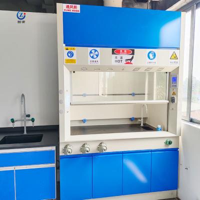 China Experience High-Performance Industrial Ventilation with Steel Fume Hood Guaranteed for sale