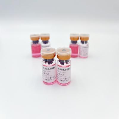 China 5ml Elevate Private Care Liquid Exosome Enriched Intimate Wellness Repair Fluid for sale