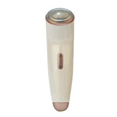 China Micro-Current Face Lift Private Massage Logo EMS Beauty Machine Skin Rejuvenation Plasma Beauty Device for sale