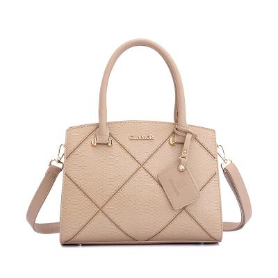 China 2022 Hot Selling Viable Hot Popular Ladies Ladies Functional Handbag Women Shoulder Handbags Monogram Bag Women Handbags Charm for sale