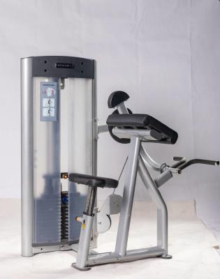 China High Quality Pin Loaded Biceps Curl Machine for Arms Strength Training and Body Building for sale