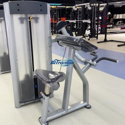 China Pin Loaded Biceps Curl Machine for Arms Strength Training and Body Building Commercial 1120*820*1440mm for sale