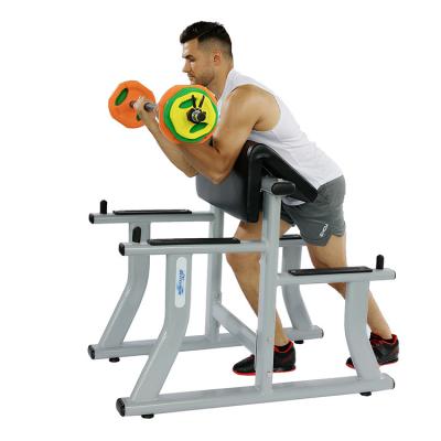 China High Quality Arm Curl Bench Hot Wholesale Gym Equipment for Biceps Curl Pin Load Selection Machines for sale