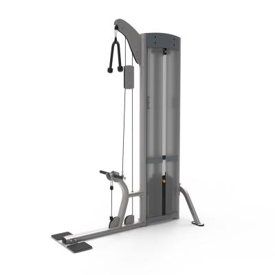 China Gym Clubs Steel Bicep Curl Machine Pin Load For Biceps Triceps Training for sale