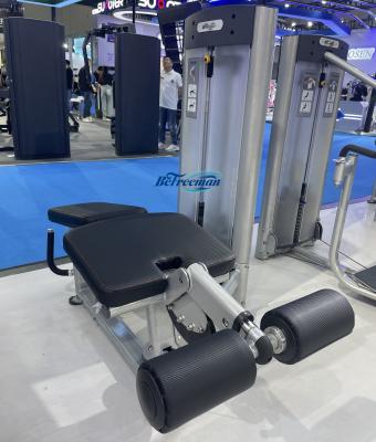 China Steel Commercial Custom Prone Leg Curl Machine With Motion Adjustable Range for sale
