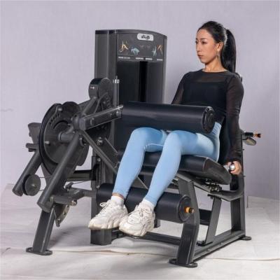 China Commercial Gym Strength Training 2 Functions Pin Loaded Seated Leg Curl Machine for sale