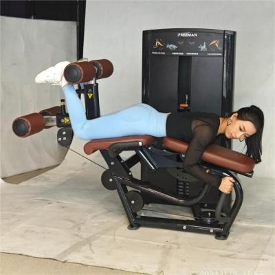 China Leg Extension Leg Curl Indoor Commercial Pin Loaded Gym Equipment for sale