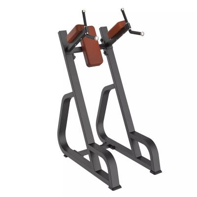 China Befreeman Wholesale Hot Sale High Quality Gym Equipment Vertical Kness Up/dip for sale