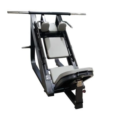 China Plate Loaded 45 Degree Leg Press Hack Slide Calf Glutes Hack Squat Gym for sale
