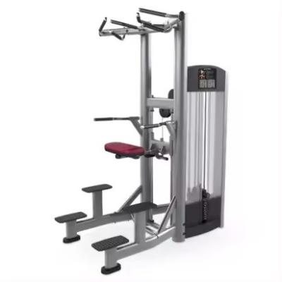 China Commercial Gym Equipment Steel Pin Loaded Pull-up Bar and Dipping Machine for Triceps Deltoids Workout Medium Loader for sale