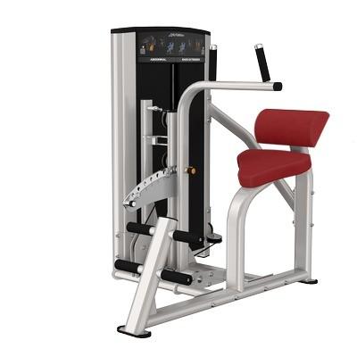 China Dual Function Gym Equipment For Strength Training Steel Back Extension Abdominal Machine for sale
