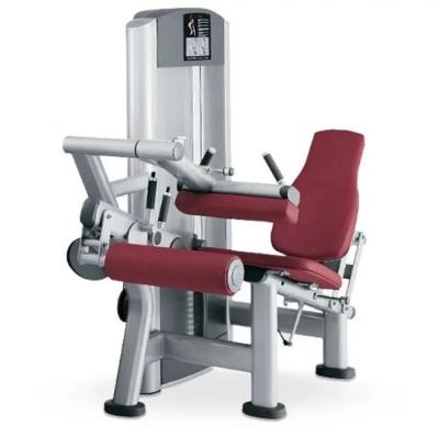 China Commercial Pin Loaded Leg Curl Machine Adjustable Seated Calf Exercise for sale