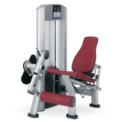 China Pin Loaded Leg Extension Machine Gym Quadriceps Shins Adjustable Seated for sale