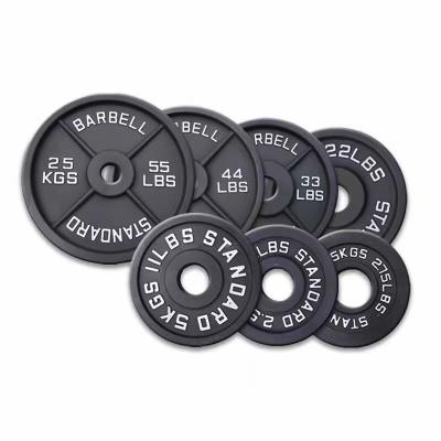 China Steel Iron Free Weights Gym Fitness Exercise 5LB 10LB 25LB 35LB 45LB for sale