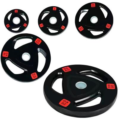 China Gym Equipment Rubber Weight Plates Commercial Free Weights Weight Lifting for sale