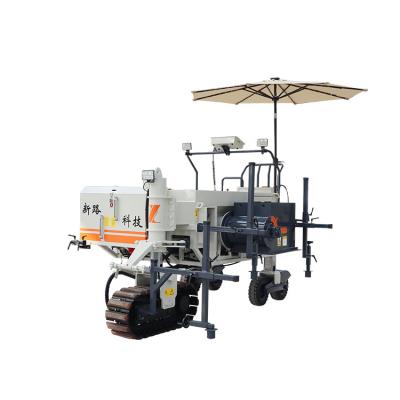 China Construction works Competitive Price Cement Concrete Road Paver Restriction Slip Formwork Machine Customized for sale