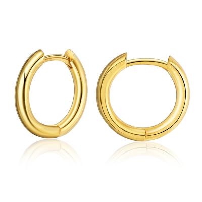 China Fashion and Texture 18K Gold Hoop Earrings Small Modern Small and Minimal Sensitive Hypoallergenic Ear Jewelry for Women 2021 for sale