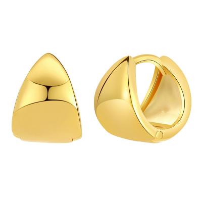 China Fashion and Texture 18K Gold Hoop Earrings Modern Small Hoops and Minimal Sensitive Hypoallergenic Ear Jewelry Stud for Women for sale
