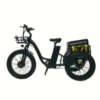 China Aluminum Alloy 24 Inch Fat Tire 800w High Speed Motor MTB Snow Electric Tricycles for sale