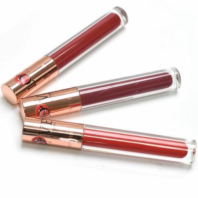 China New High Waterproof Pigmented 2020 Long Lasting Lip Smudge Lip Gloss For Woman for sale